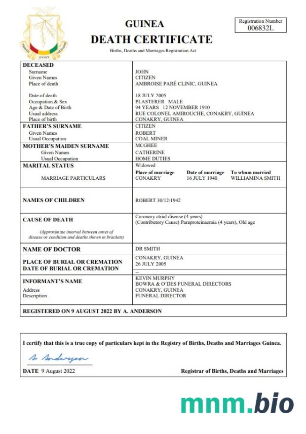 Guinea śmierć certyfikat Word i PDF szablon